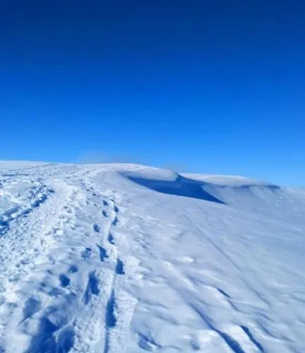 Le Gentiane Шале *